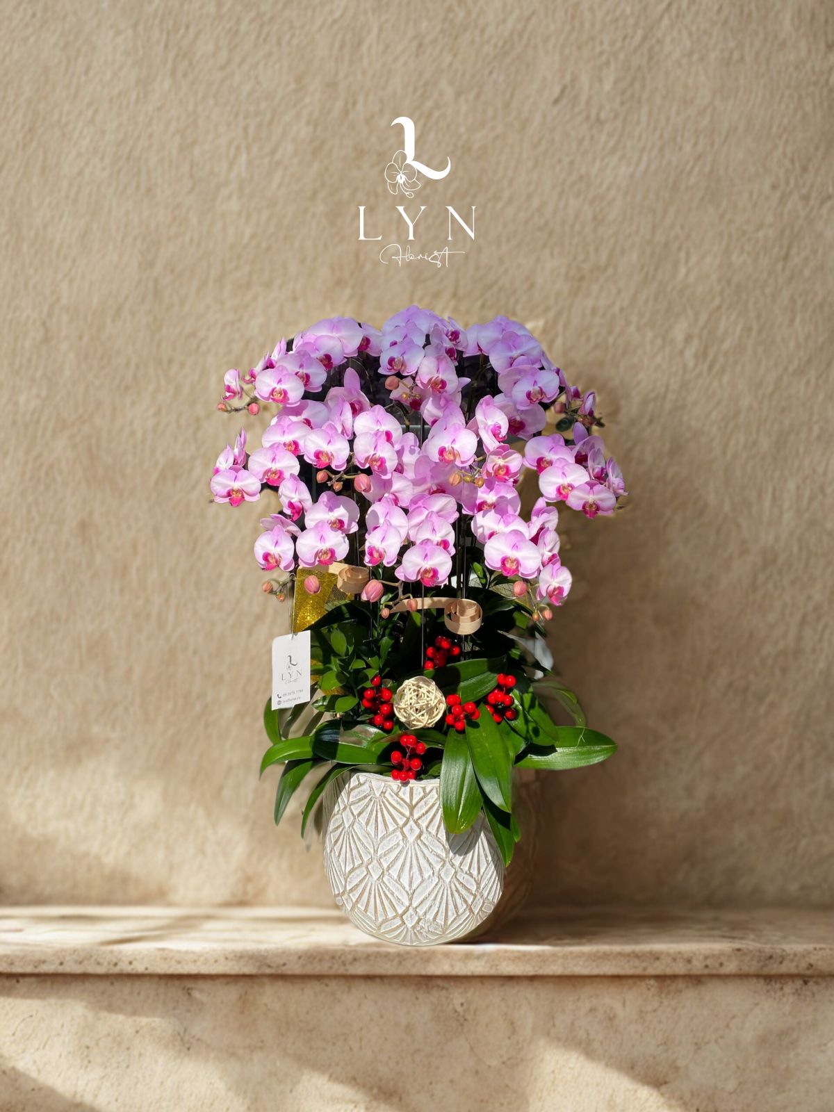 Chậu Hoa Hồng Trung 